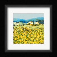 Lemon Grove, Tuscany Fine Art Print
