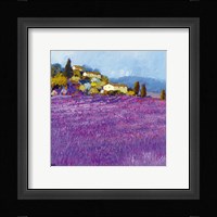 Wild Lavender, Provence Fine Art Print