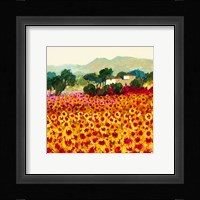 Sunflower Sunset, Tuscany Fine Art Print
