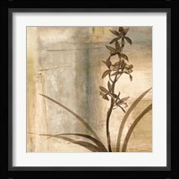 Shadow Dance II Fine Art Print