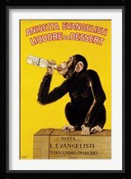 Anisette Evangelisti Fine Art Print