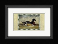 Mallard, Wood Duck And Canada Goose Fine Art Print