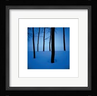 Trees In Snow Fine Art Print