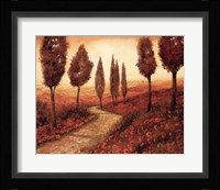 Strada Tra I Papaveri Fine Art Print