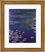 Waterlilies at Giverny Fine Art Print