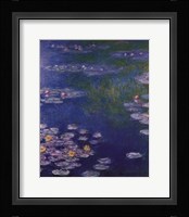 Waterlilies at Giverny Fine Art Print