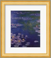 Waterlilies at Giverny Fine Art Print