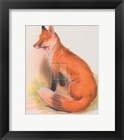 Fox Fine Art Print