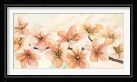 Ciliegio in Fiore II Fine Art Print