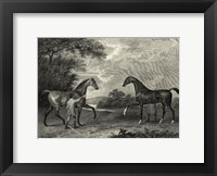 King Herod Flying Childers Fine Art Print