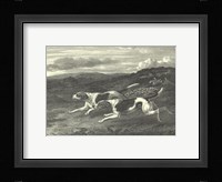 Foxhounds Framed Print