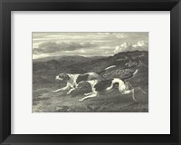 Foxhounds Framed Print
