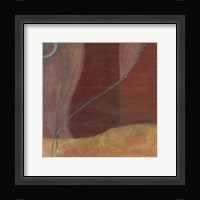 Sun Tendrils II Framed Print