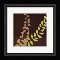 Serpentine Vines II Framed Print