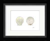 Tidal Treasure IV Fine Art Print