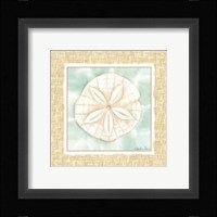 Ocean Sanddollar Framed Print