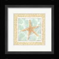 Ocean Starfish Framed Print