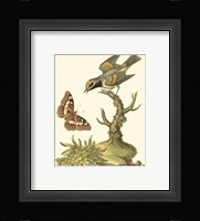 Petite Bird Study I Fine Art Print