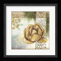 Globeflower Fresco II Giclee