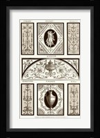 Sepia Pergolesi Panel I Giclee
