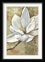 Magnolia Majesty II Framed Print