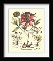Framboise Floral I Giclee