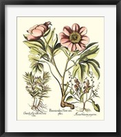 Framboise Floral II Giclee