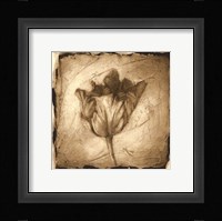 Floral Impression II Framed Print