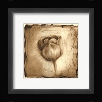 Floral Impression III Framed Print