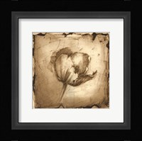 Floral Impression IV Framed Print