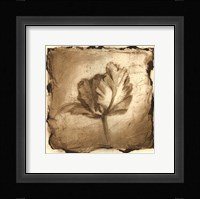 Floral Impression V Framed Print