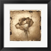 Floral Impression VI Framed Print