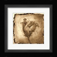 Floral Impression VIII Framed Print