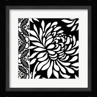 Graphic Chrysanthemums II Framed Print