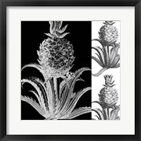 Pop Pineapple II Giclee