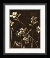 Blossom Nocturne I Framed Print