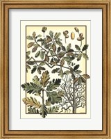 Arts And Crafts Oak Giclee