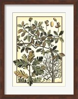 Arts And Crafts Oak Giclee