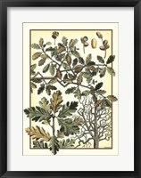 Arts And Crafts Oak Giclee