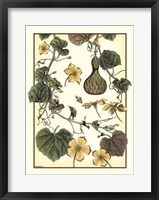 Arts And Crafts Gourd Giclee