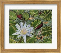Enchanting Lily Giclee