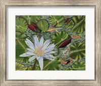 Enchanting Lily Giclee