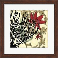 Coral Tapestry IV Giclee