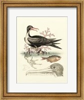 Aquatic Birds I Giclee