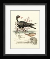 Aquatic Birds I Giclee