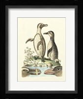 Aquatic Birds IV Giclee