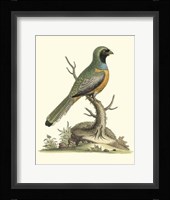 Poised In Nature I Giclee