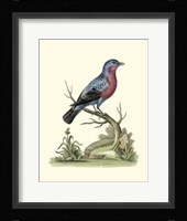 Poised In Nature IV Giclee