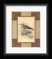 Lowland Courier Fine Art Print