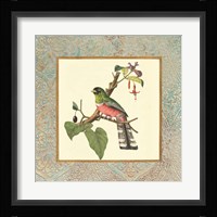 Bel Air Songbirds II Fine Art Print